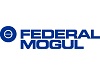 Federal mogul